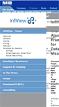 Mobile Screenshot of infiview.com